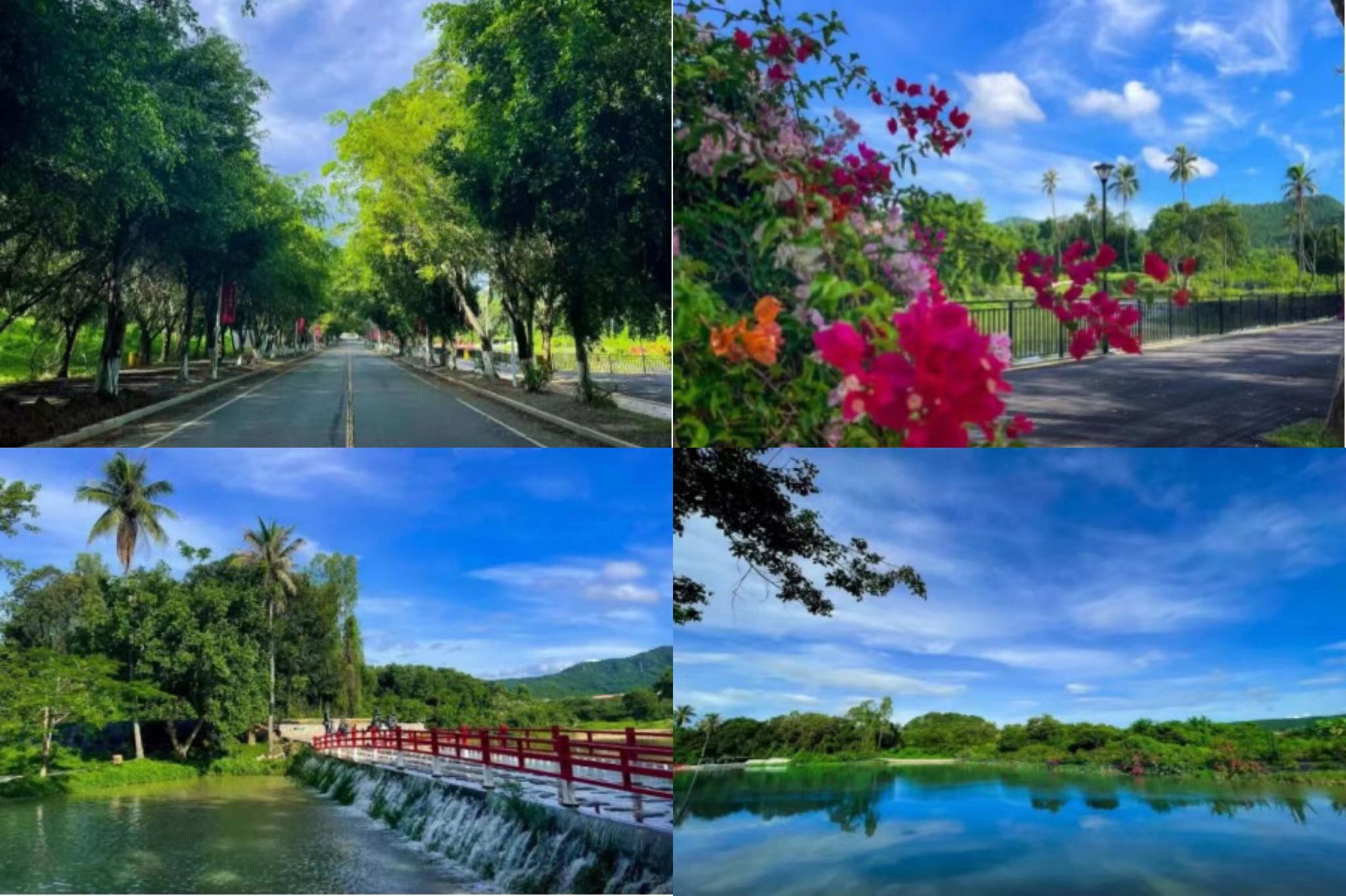 1666796608102118.jpg 952040ab744e06a4b0be50efa8b3b68.jpg