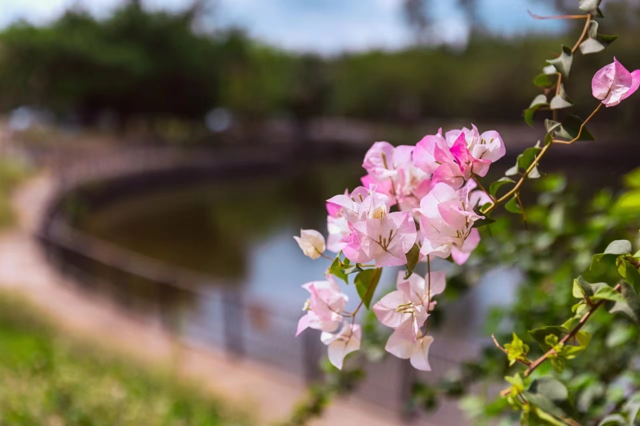 1718607623106972.jpg ca3b7e737b68717dd7a756af86346c8.jpg