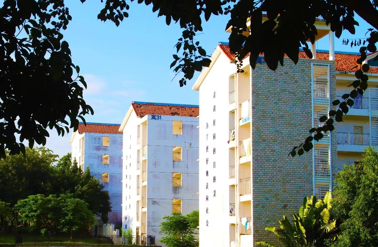 1718607584473349.jpg d10797b8f66de3f04d0a0d1cde7b31f.jpg