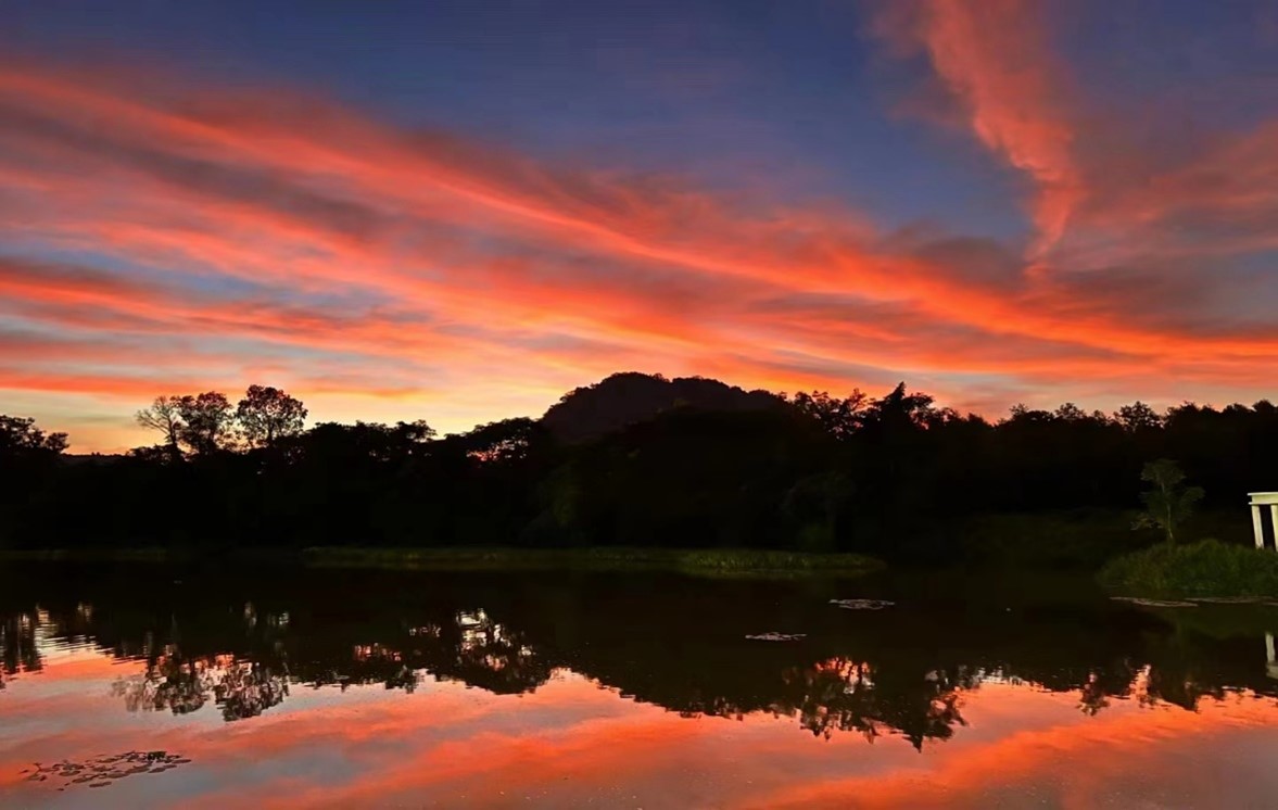 1667568792714112.jpg 图片9.jpg