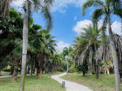 1721137728448305.png 1721137728448305.png