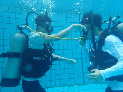 1719405568123841.png image.png