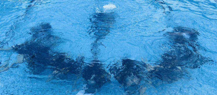 1719405562976305.png image.png