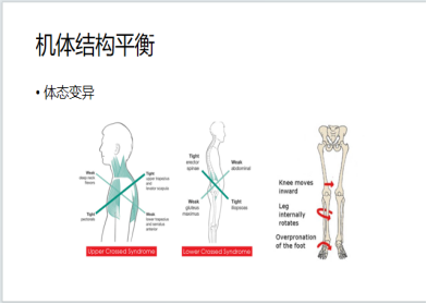 1691232845717684.png c0bd9fc5e854c7b0209bab51de5f0a5.png