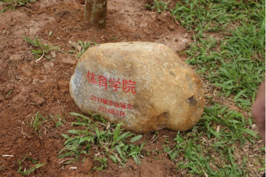 1716996520949168.png 1716996520949168.png