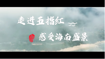 1718970580101068.jpg 1718970536177.jpg