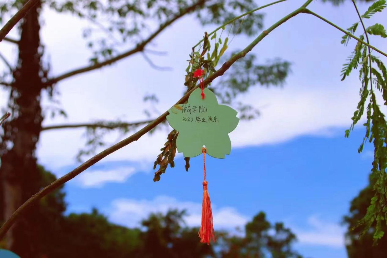 1685367194211243.png 1685367194211243.png