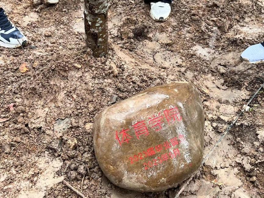 1685367174135640.png 1685367174135640.png