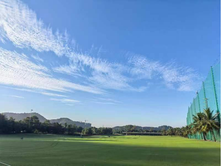 1723201462120902.jpg 1723201462120902.jpg