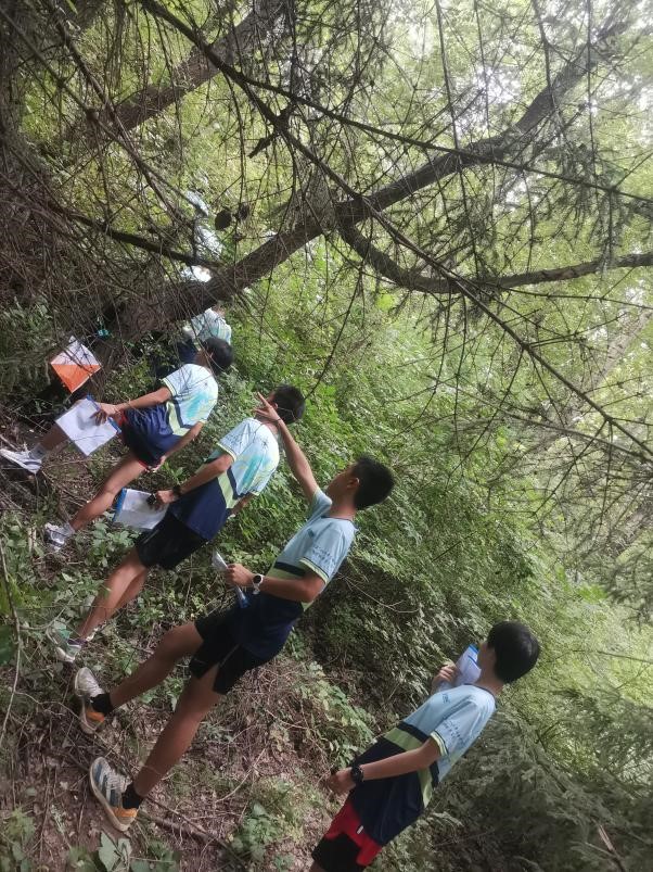 1691237188678266.jpg 4.jpg